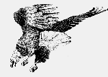 [Drawing of Eagle]